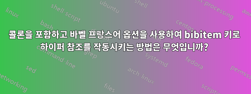 콜론을 포함하고 바벨 프랑스어 옵션을 사용하여 bibitem 키로 하이퍼 참조를 작동시키는 방법은 무엇입니까?