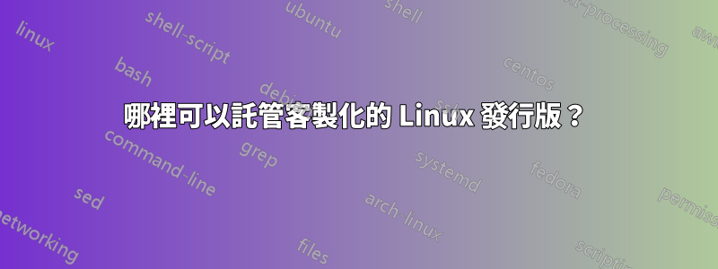 哪裡可以託管客製化的 Linux 發行版？