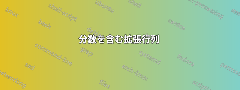 分数を含む拡張行列