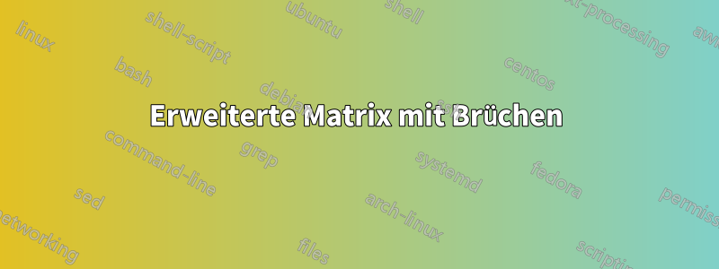 Erweiterte Matrix mit Brüchen