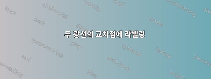 두 광선의 교차점에 라벨링