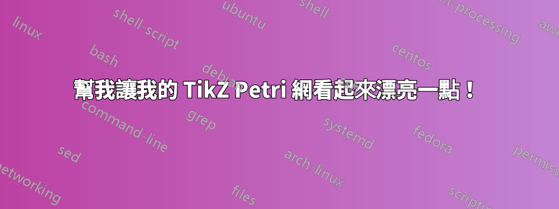 幫我讓我的 TikZ Petri 網看起來漂亮一點！