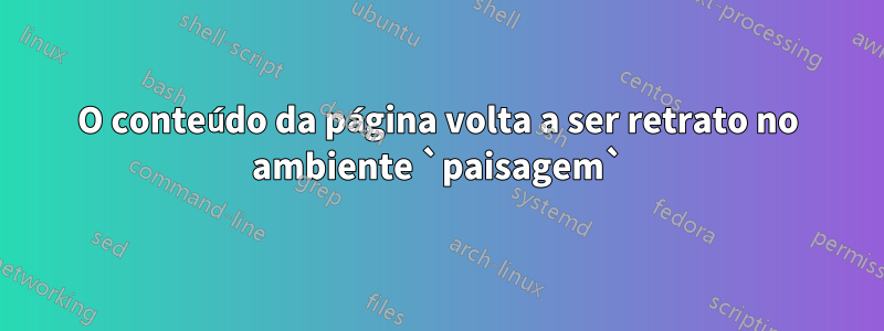 O conteúdo da página volta a ser retrato no ambiente `paisagem`