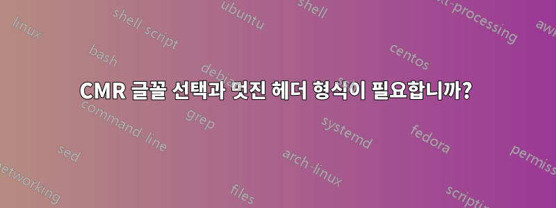 CMR 글꼴 선택과 멋진 헤더 형식이 필요합니까?