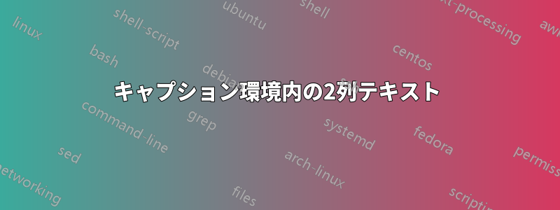 キャプション環境内の2列テキスト