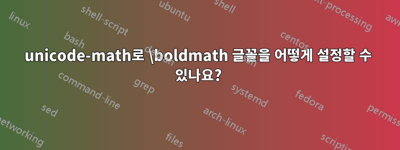 unicode-math로 \boldmath 글꼴을 어떻게 설정할 수 있나요?