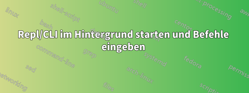 Repl/CLI im Hintergrund starten und Befehle eingeben