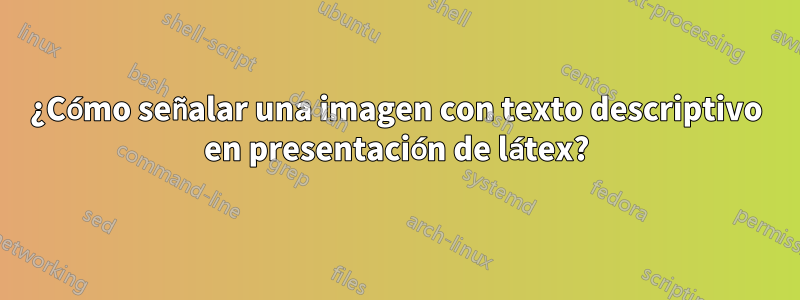 ¿Cómo señalar una imagen con texto descriptivo en presentación de látex?