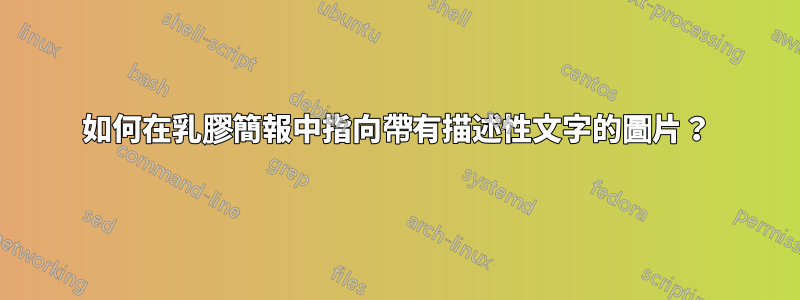 如何在乳膠簡報中指向帶有描述性文字的圖片？