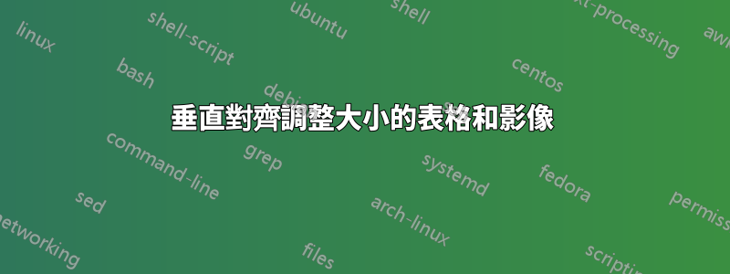 垂直對齊調整大小的表格和影像