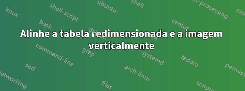 Alinhe a tabela redimensionada e a imagem verticalmente
