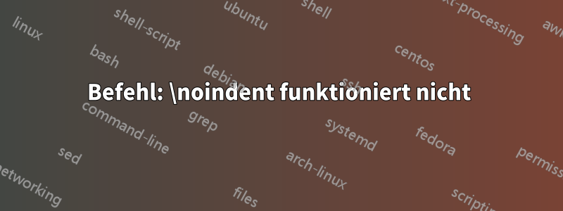 Befehl: \noindent funktioniert nicht