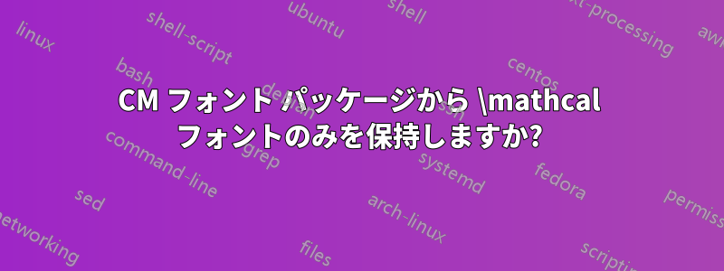 CM フォント パッケージから \mathcal フォントのみを保持しますか?