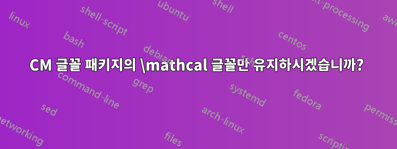 CM 글꼴 패키지의 \mathcal 글꼴만 유지하시겠습니까?