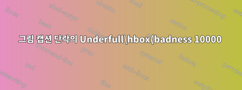 그림 캡션 단락의 Underfull\hbox(badness 10000)