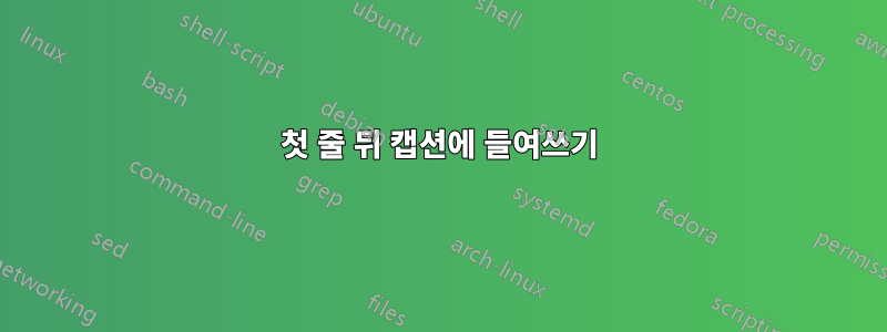 첫 줄 뒤 캡션에 들여쓰기