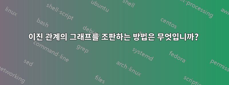 이진 관계의 그래프를 조판하는 방법은 무엇입니까?