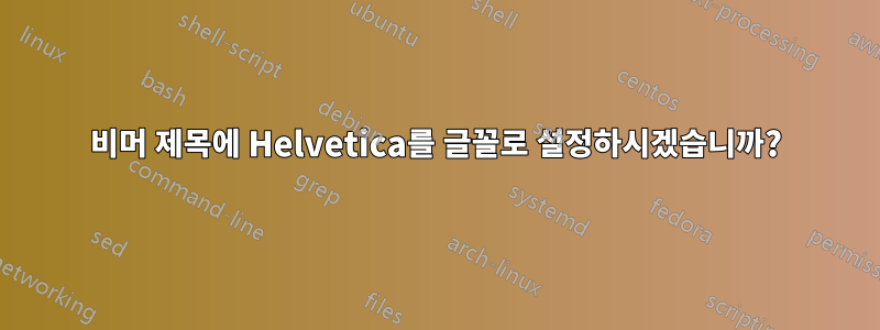 비머 제목에 Helvetica를 글꼴로 설정하시겠습니까?