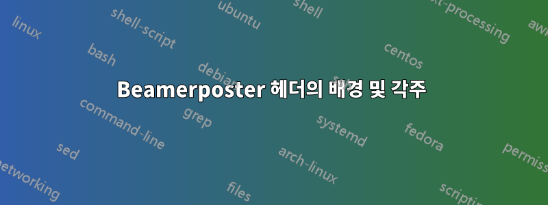 Beamerposter 헤더의 배경 및 각주