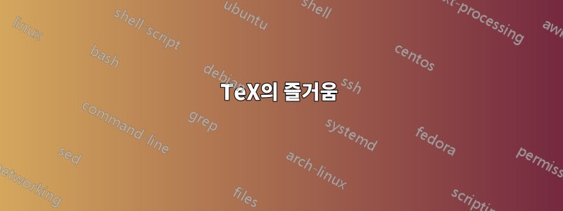 TeX의 즐거움