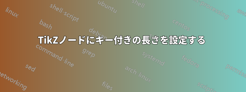 TikZノードにキー付きの長さを設定する