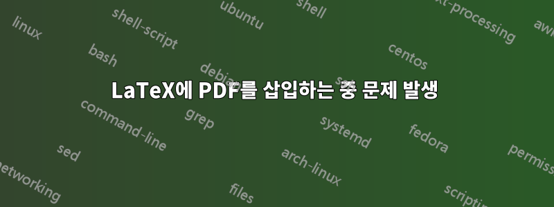 LaTeX에 PDF를 삽입하는 중 문제 발생