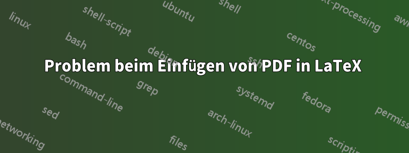 Problem beim Einfügen von PDF in LaTeX