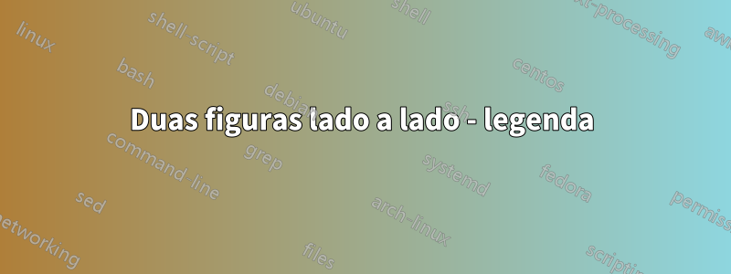 Duas figuras lado a lado - legenda