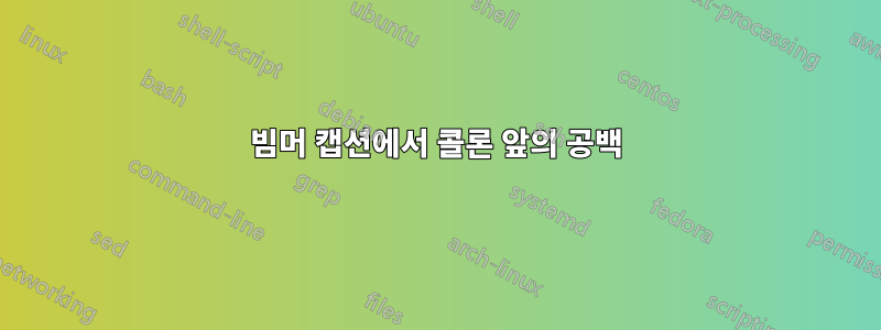 빔머 캡션에서 콜론 앞의 공백