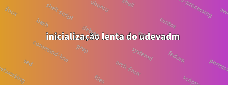 inicialização lenta do udevadm