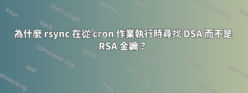 為什麼 rsync 在從 cron 作業執行時尋找 DSA 而不是 RSA 金鑰？