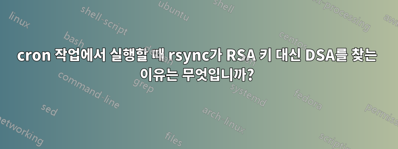 cron 작업에서 실행할 때 rsync가 RSA 키 대신 DSA를 찾는 이유는 무엇입니까?