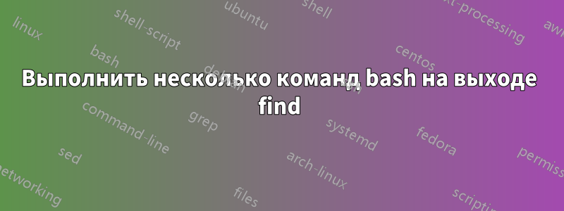 Выполнить несколько команд bash на выходе find