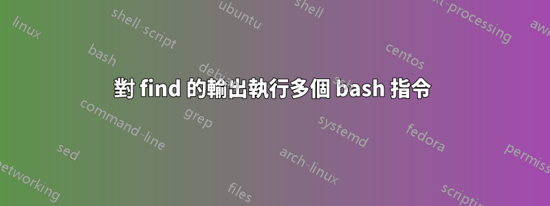對 find 的輸出執行多個 bash 指令