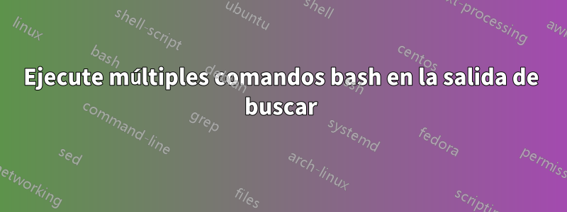 Ejecute múltiples comandos bash en la salida de buscar