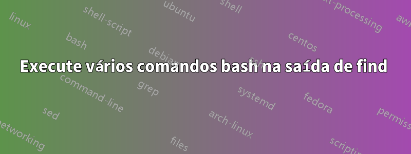 Execute vários comandos bash na saída de find