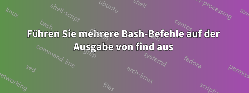Führen Sie mehrere Bash-Befehle auf der Ausgabe von find aus