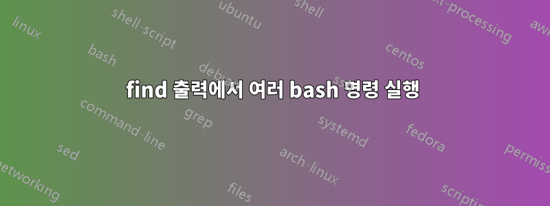 find 출력에서 ​​여러 bash 명령 실행