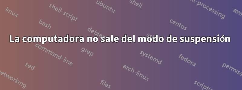 La computadora no sale del modo de suspensión