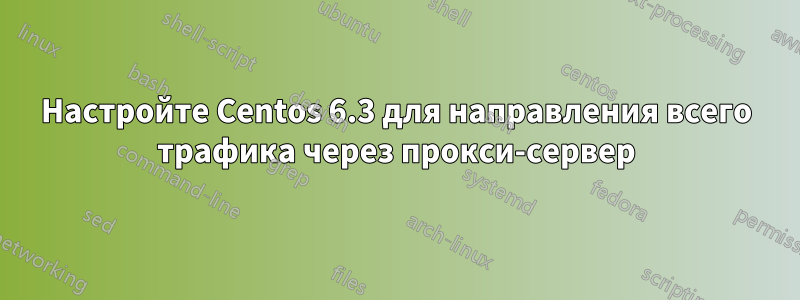 Настройте Centos 6.3 для направления всего трафика через прокси-сервер