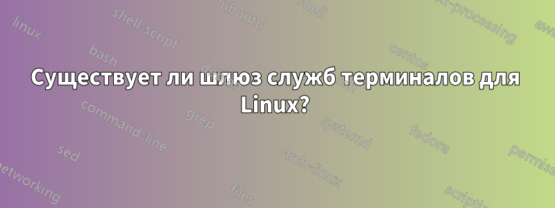Существует ли шлюз служб терминалов для Linux?
