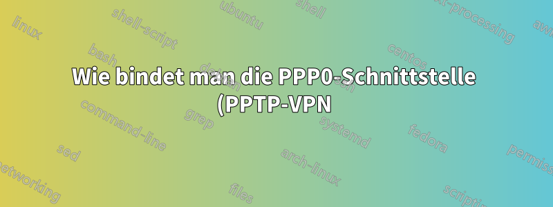 Wie bindet man die PPP0-Schnittstelle (PPTP-VPN) im Proxyserver als „extern“ ein?
