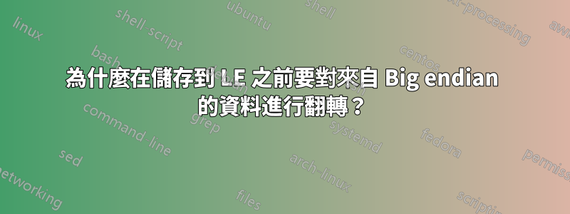 為什麼在儲存到 LE 之前要對來自 Big endian 的資料進行翻轉？