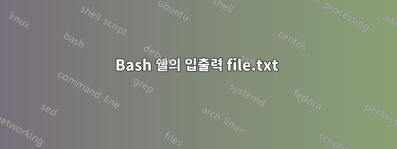Bash 쉘의 입출력 file.txt