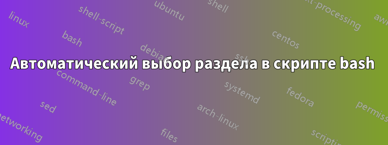 Автоматический выбор раздела в скрипте bash