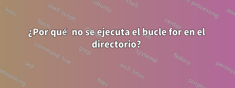 ¿Por qué no se ejecuta el bucle for en el directorio?