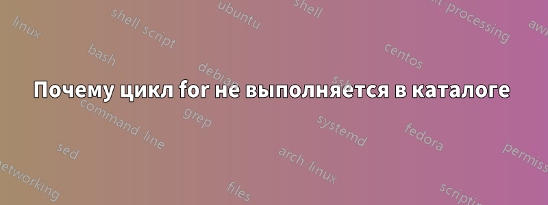 Почему цикл for не выполняется в каталоге