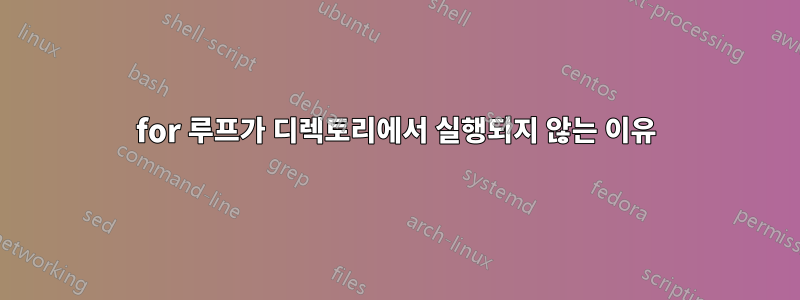 for 루프가 디렉토리에서 실행되지 않는 이유