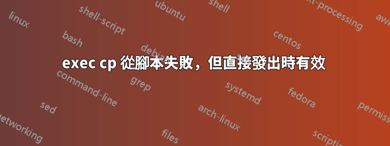 exec cp 從腳本失敗，但直接發出時有效