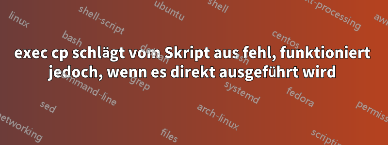 exec cp schlägt vom Skript aus fehl, funktioniert jedoch, wenn es direkt ausgeführt wird